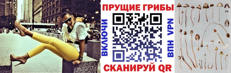 цены   Кемь  Галлюциногенные грибы MAGIC MUSHROOMS 